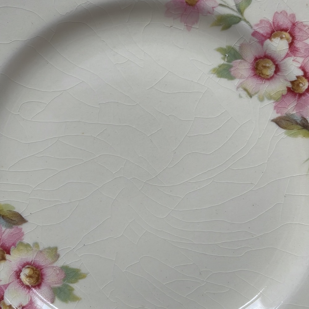 🌸Set of 6 Vintage Style Dessert Plates! Pretty delicate rose pattern 🌸 - Picture 11 of 16